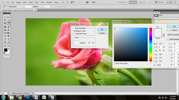 Tips and Tricks of Editing Flower Photo