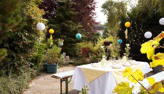 Tips and Tricks for Birthday Photography