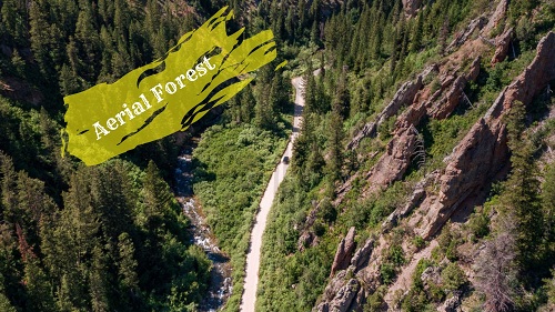 Aerial photography for forest