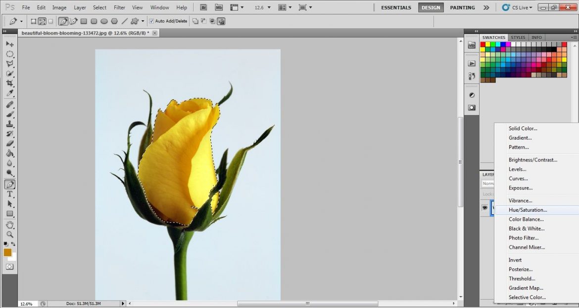 Hue and saturation layer in photoshop cs5