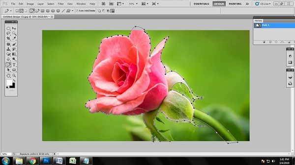Technique of Editing Flower Photo