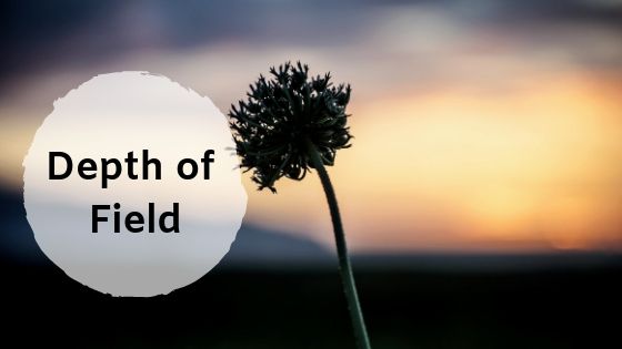 The depth of field effect using aperture