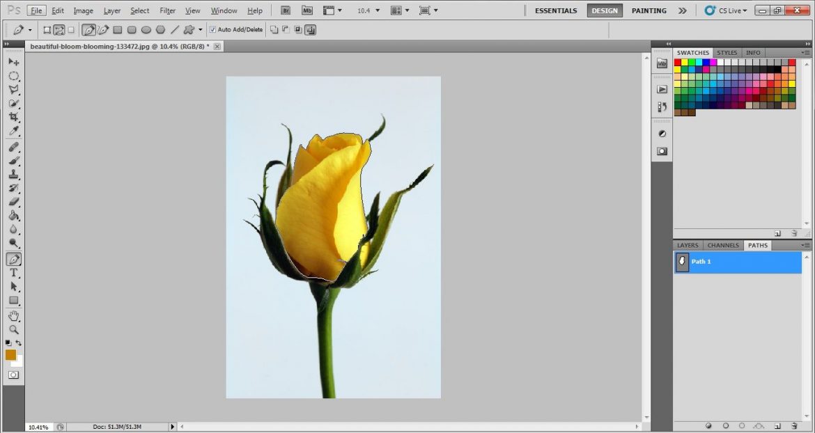 draw Path using pen tool