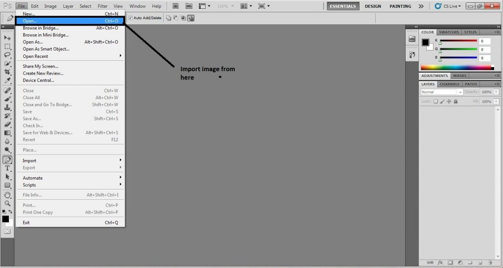 Importing the Image in Photoshop