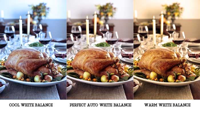 Top 10 thanksgiving photoshoot Tips