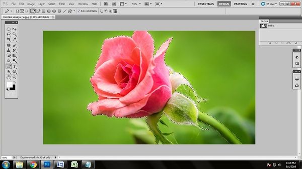 Flower Photo Editing Tips and Tricks in 2019