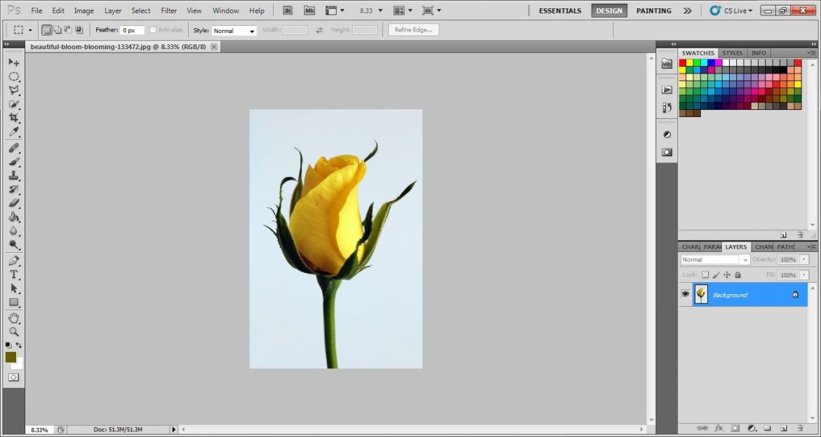 open image in Photoshop cs5