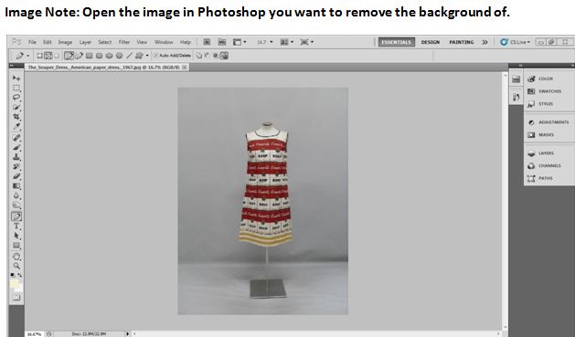 How to Remove & Replace a Background in Photoshop Elements