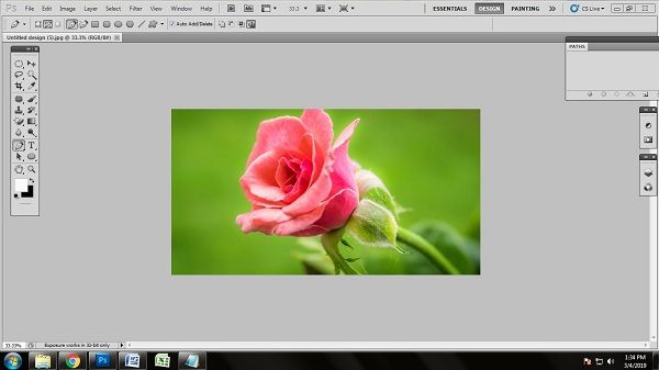 Flower Photo Editing Tips and Tricks
