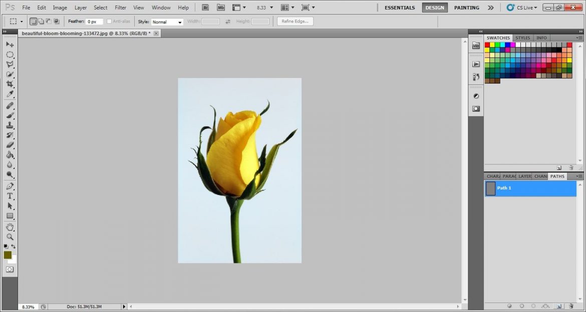Take a path layer in photoshop