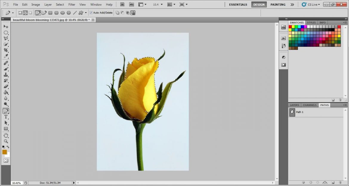 Selection of Path in Photoshop