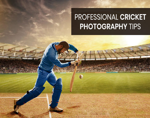 professional cricket photography tips