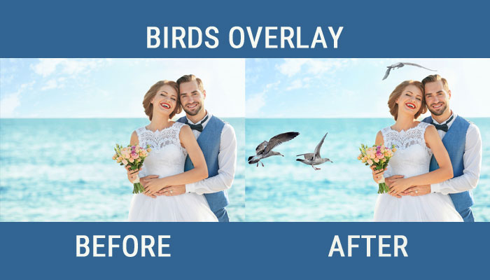 Birds overlay wedding photo